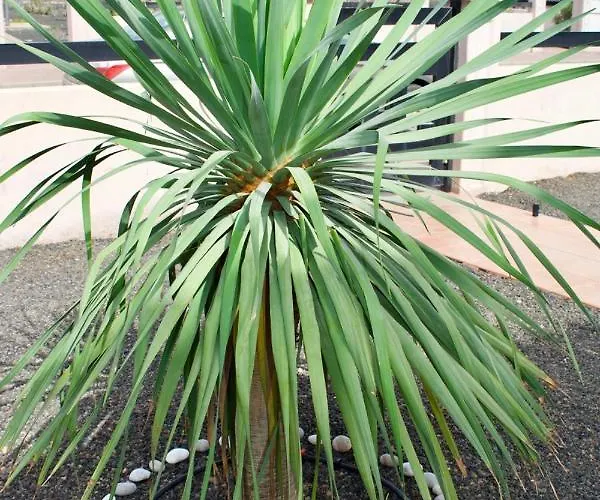 Semesterbostad The Wind's Breath, Perfect For Relaxing Getaway *