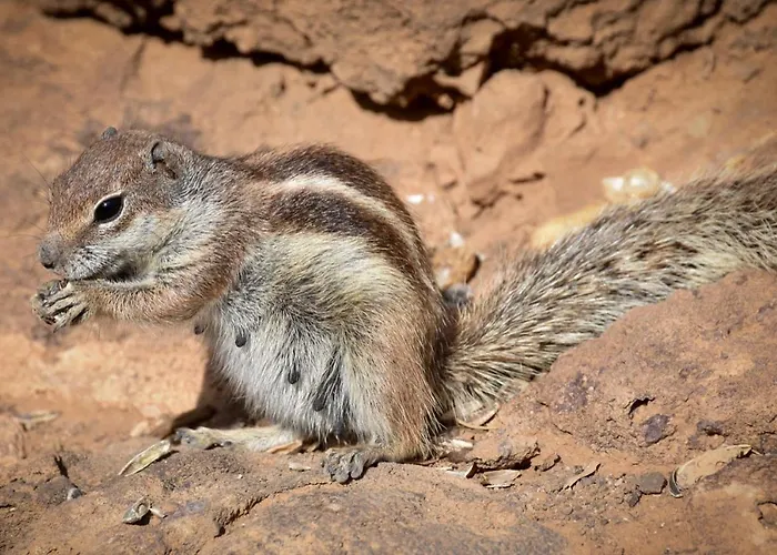 Semesterbostad The Wind's Breath, Perfect For Relaxing Getaway *