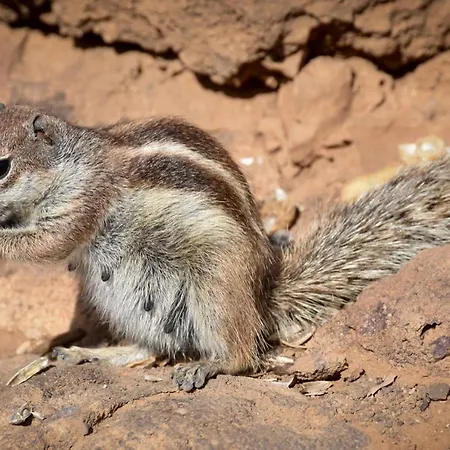 Сasa de vacaciones The Wind's Breath, Perfect For Relaxing Getaway *