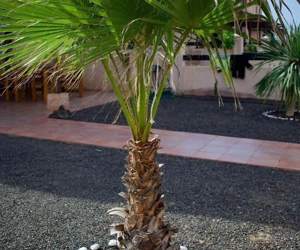 The Wind's Breath, Perfect For Relaxing Getaway Nyaraló La Oliva