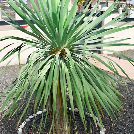 Hébergement de vacances The Wind's Breath, Perfect For Relaxing Getaway *